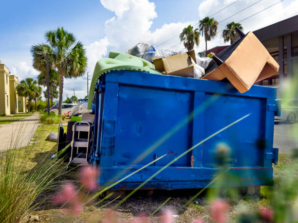 Best Furniture Removal  in Napoleon, OH